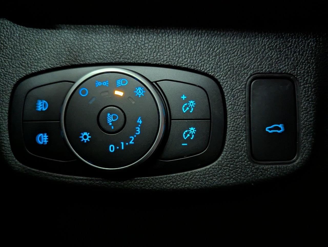 FORD FOCUS 2.0 ECOBLUE 150CV ACTIVE  X AUTO 48 