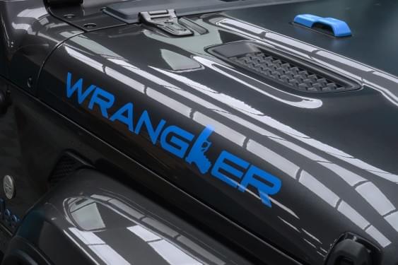 JEEP WRANGLER 2.0 380CV 1 EDITION 80 ANIVERSARIO 8AT 2021 de segunda mano