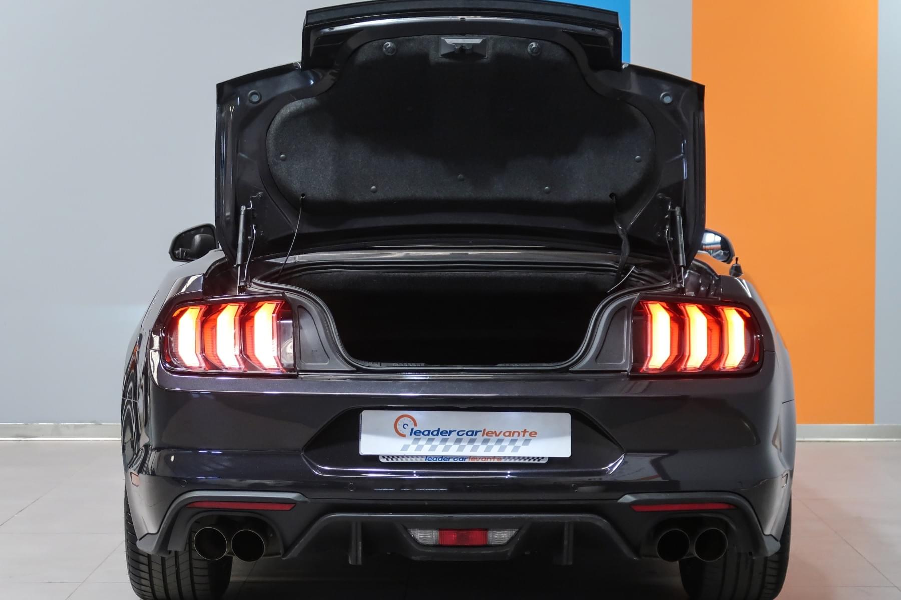 FORD MUSTANG 5.0 TI VCT V8 A 450CV 20 