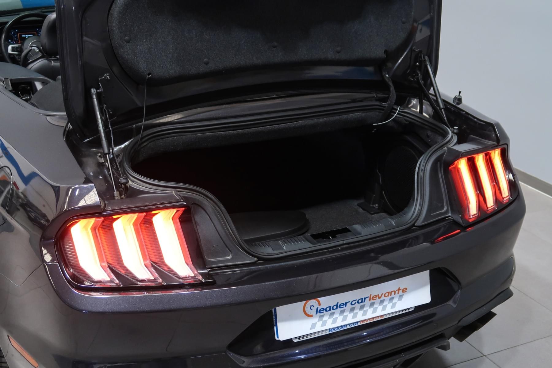 FORD MUSTANG 5.0 TI VCT V8 A 450CV 21 