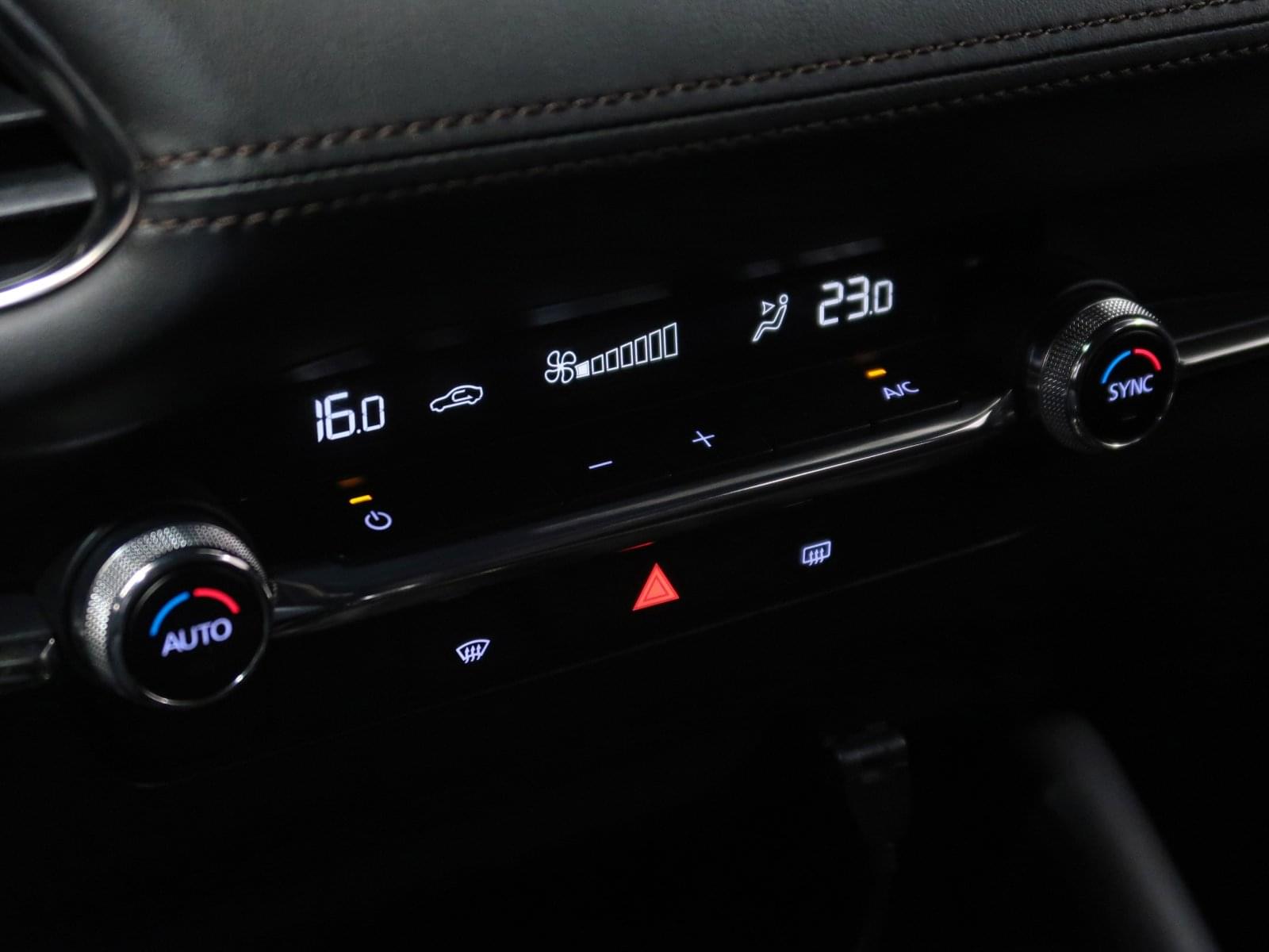 MAZDA MAZDA 3 2.0 ZENITH SAFETY RED 186CV 37