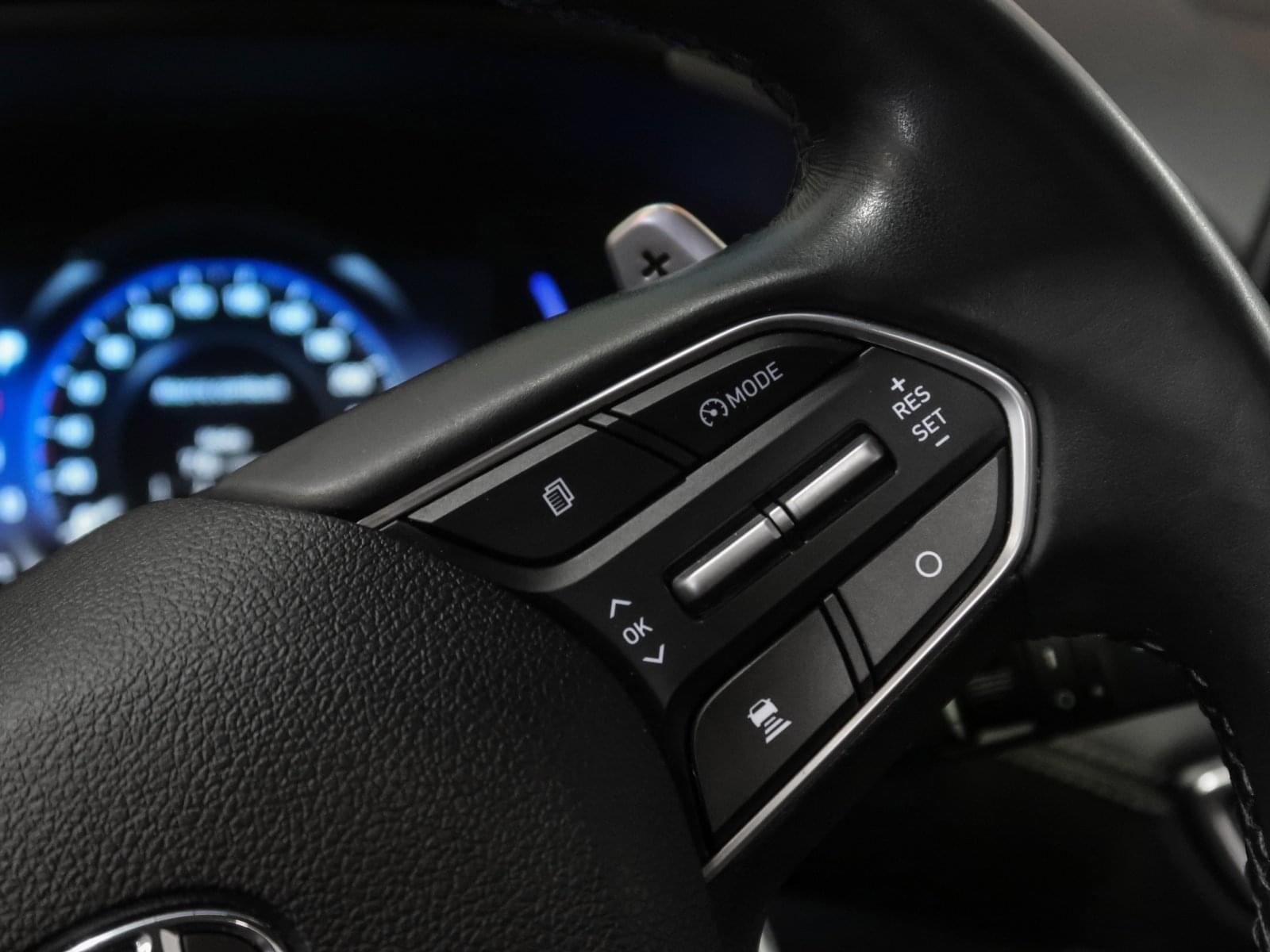 HYUNDAI SANTA FE 2.2 CRDI STYLE AUTO 4X4 DK 200CV 39 