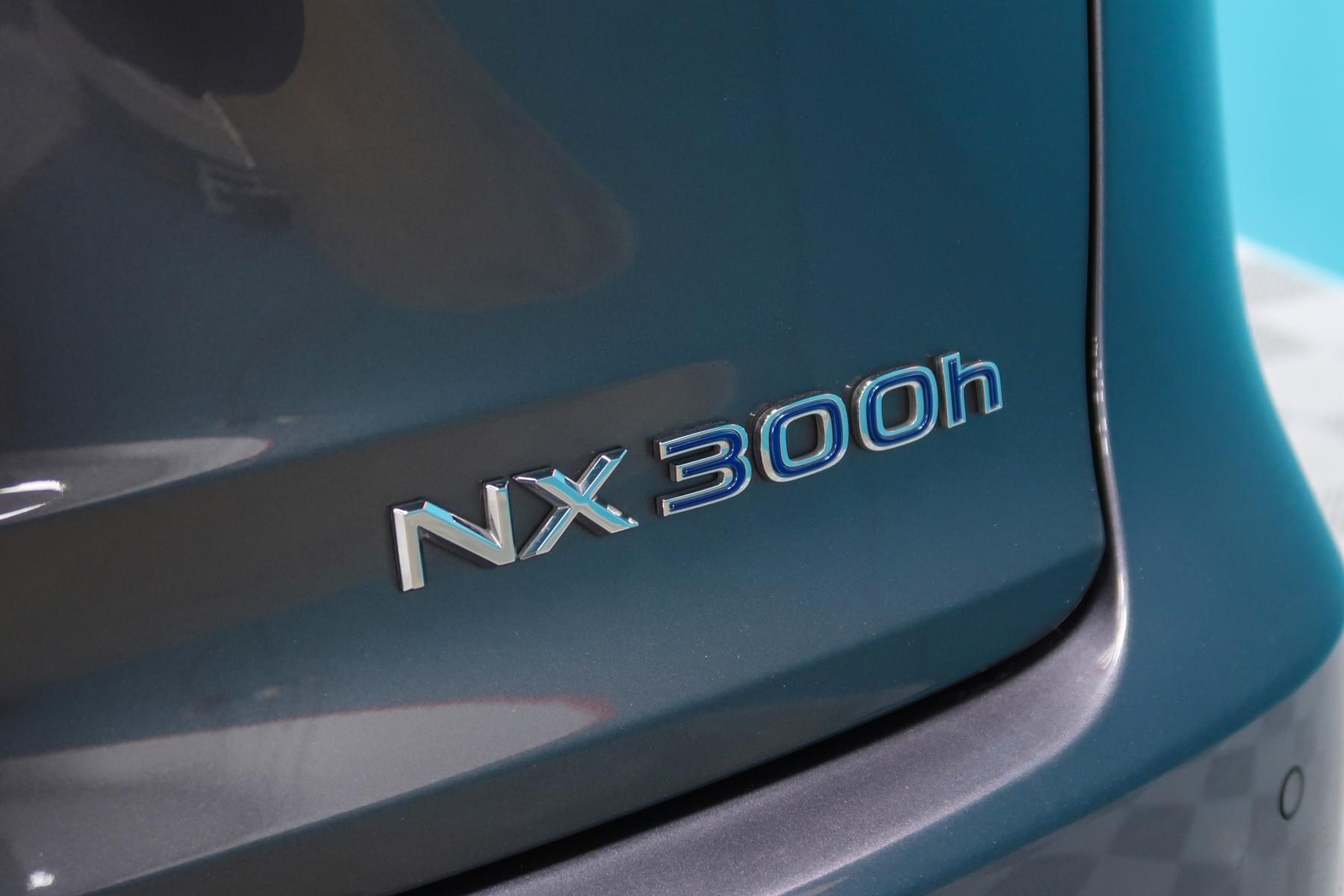 LEXUS NX 300H BUSINESS PLUS 197CV 13 