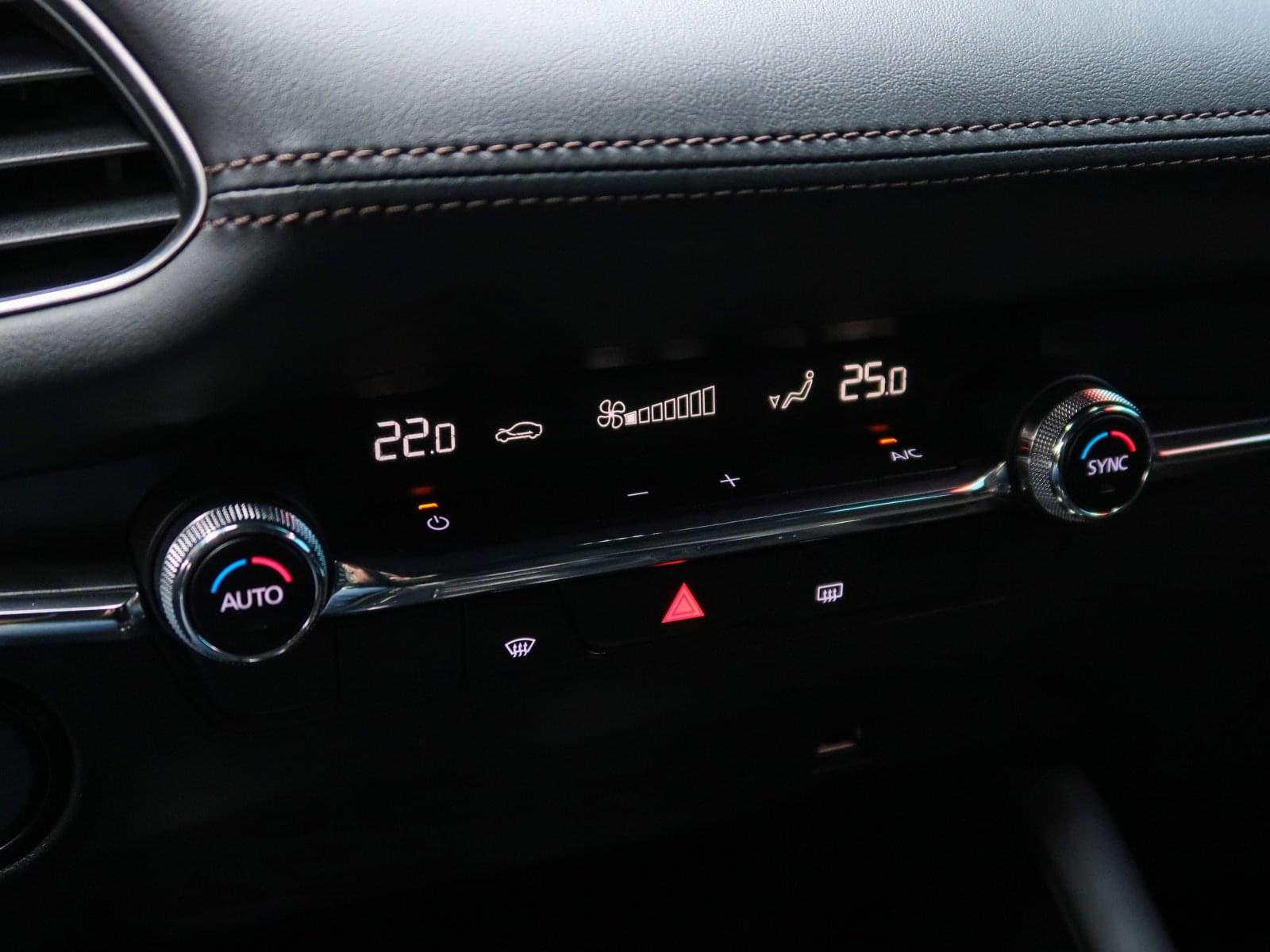 MAZDA MAZDA 3 2.0 SKYACTIV-X EVOLUTION 186CV 38 
