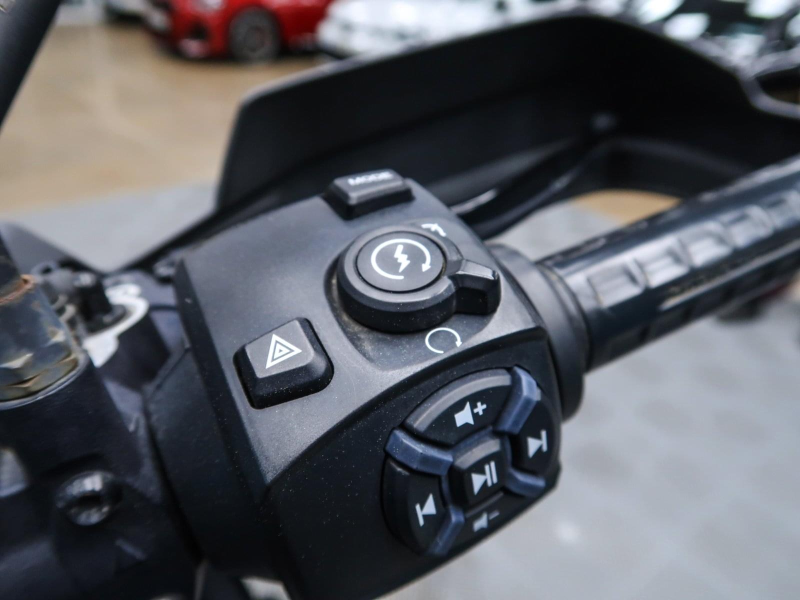 HARLEY DAVIDSON PAN AMERICA 1250 2022 19