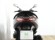 KYMCO SUPER DINK 125