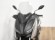 YAMAHA XMAX 300