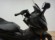 HONDA FORZA 125