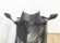 YAMAHA TMAX 560