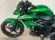 KAWASAKI Z 125 (ESCAPE HOMOLOGADO ARROW)