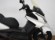 KYMCO SUPER DINK 125