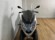 PIAGGIO MP3 300 HPE