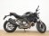 DUCATI MONSTER 821 (A2)