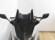 YAMAHA TMAX 530 (SX)