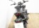 YAMAHA MT-09 (A2)