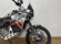DUCATI DESERT X