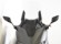 YAMAHA TMAX 560 TECH MAX