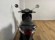 PIAGGIO LIBERTY 50
