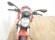 DUCATI MONSTER 696 (A2)