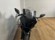 YAMAHA R7 (A)