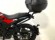BENELLI LEONCINO 250