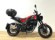 BENELLI LEONCINO 250