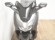 HONDA FORZA 300