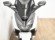 HONDA FORZA 125