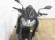 KAWASAKI Z 900 (FULL)