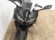KAWASAKI NINJA 650 (A2)