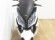 KYMCO K-XCT 125I