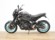YAMAHA MT-09 (A2)