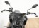 YAMAHA MT-09 (A2)