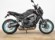 YAMAHA MT-09 (A2)