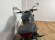 HONDA CB 650 R (A2)