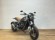 BENELLI LEONCINO 500