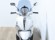 PIAGGIO BEVERLY 300
