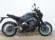 YAMAHA MT-09 (A)