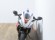 APRILIA RS 660 (A)
