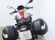 BMW F 900 R (2 MALETAS)