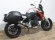 BMW F 900 R (2 MALETAS)