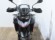 TRIUMPH TIGER 900 GT PRO
