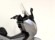 HONDA S-WING (TOP CASE)