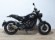 BENELLI LEONCINO 500