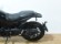 BENELLI LEONCINO 500