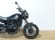 BENELLI LEONCINO 500