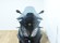 PIAGGIO MP3 500 HPE