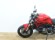 DUCATI MONSTER 821 (Termignoni no homol. Repro oficial)