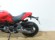 DUCATI MONSTER 821 (Termignoni no homol. Repro oficial)