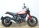 DUCATI SCRAMBLER ICON (A2)